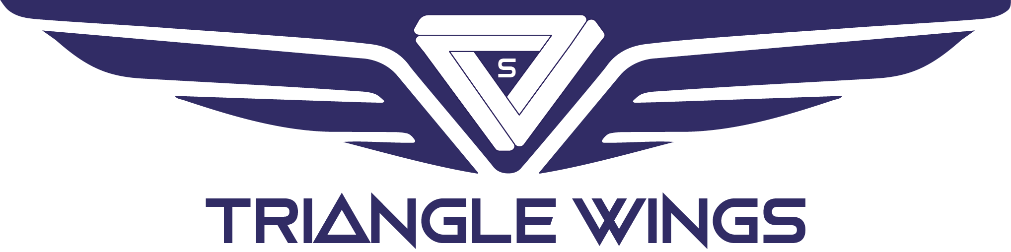 Triangle Wings