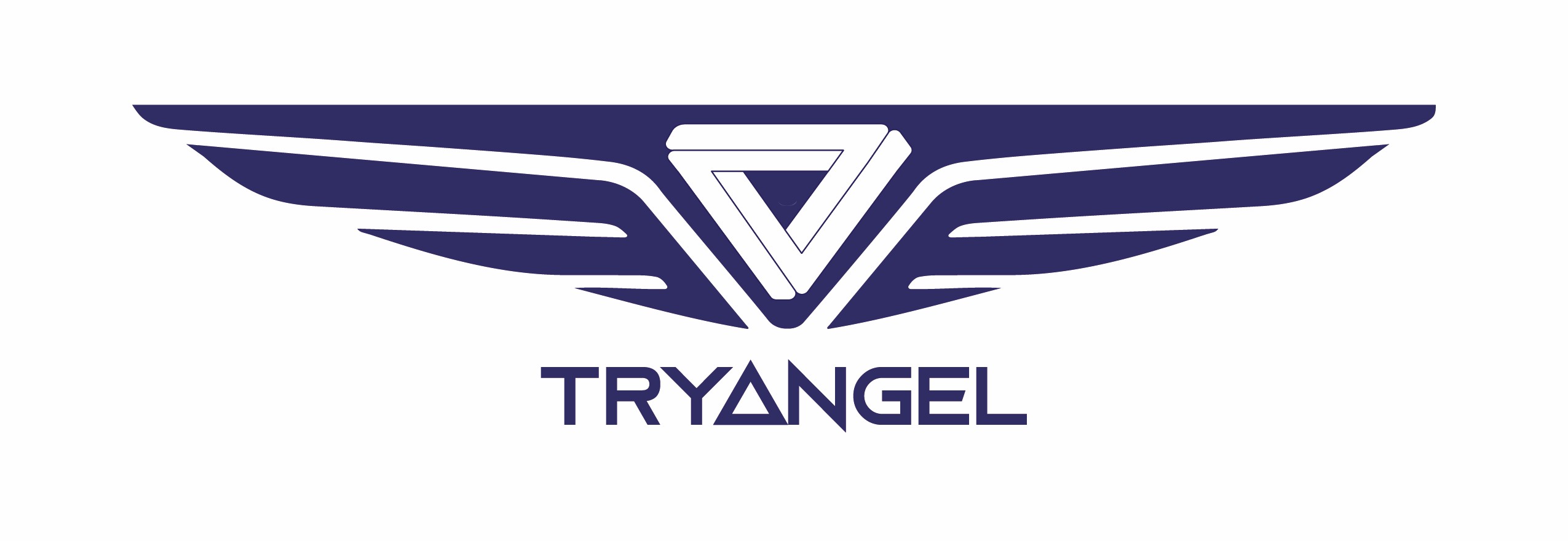 Triangle Wings